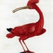 Crimson Stallion Repeat with Micro-Bird Background and Golden Outline in White and Black Contrast main image 1