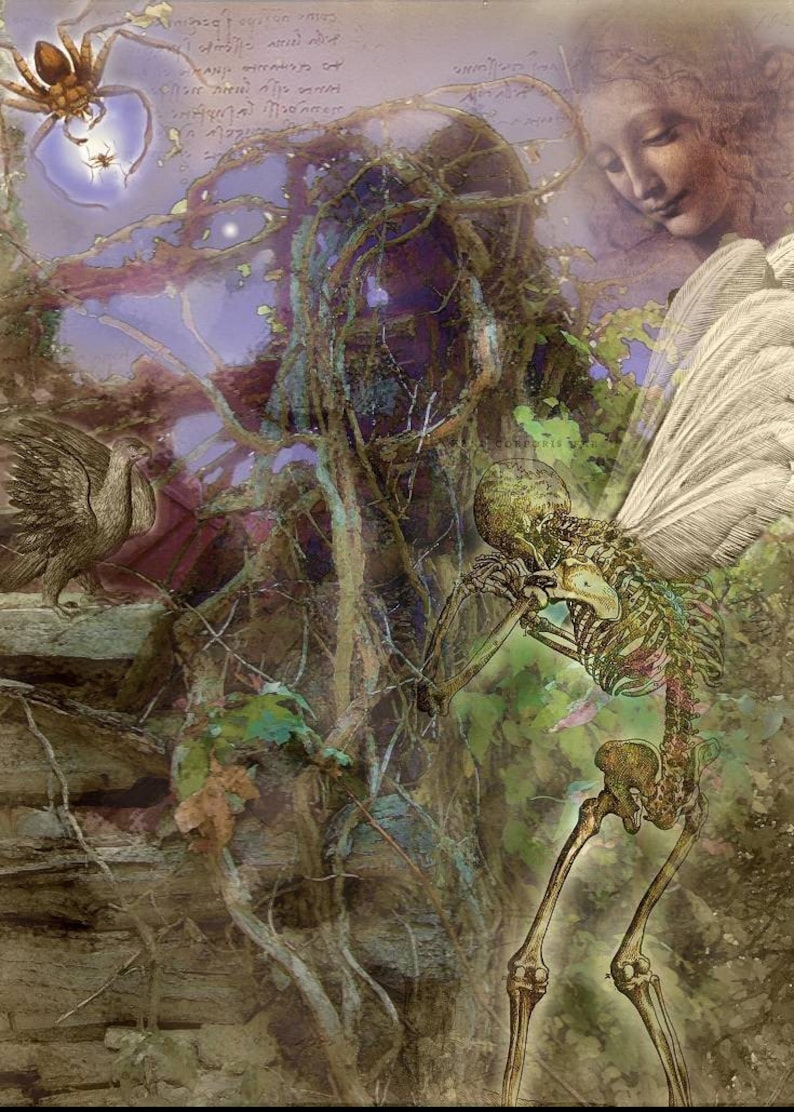 May include: A surreal digital art print featuring a skeletal figure with wings, a bird, and a spider. The artwork has a muted color palette with hints of purple, green, and brown. The image evokes a fantasy or gothic theme.