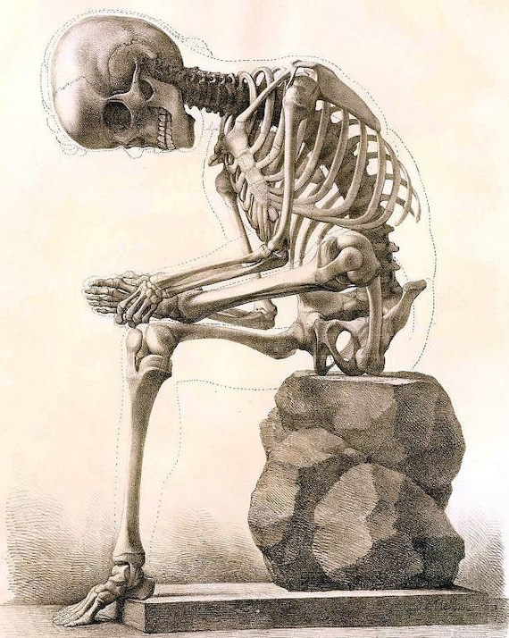 Featured image of post Sitting Skeleton Drawing