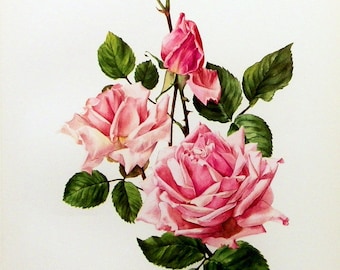 Instant Download The Pink Rose Bloom You Print Digital Image Delicate Victorian Romantic Pink Green