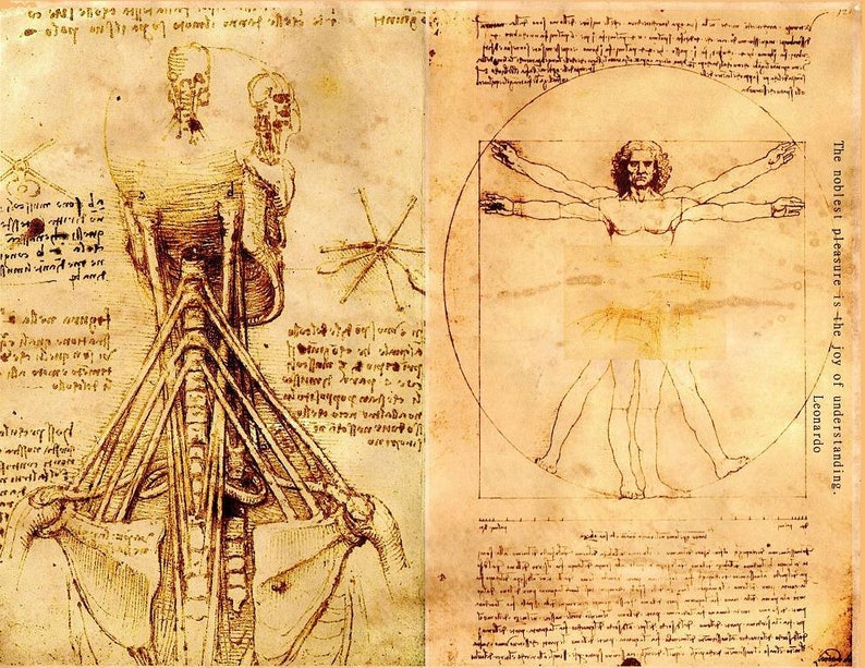 Leonardo Da Vinci Diary Junk Journal Pages Seven PDF Printable Sheets 8