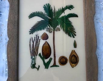 Vintage glass painting of a tropical palm tree  in a beautiful original frame