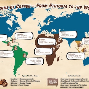 May include: A world map illustrating the origins of coffee, from Ethiopia to various countries. The map highlights coffee bean types and fun facts, with text labels indicating coffee characteristics like bright, citrus, and earthy.