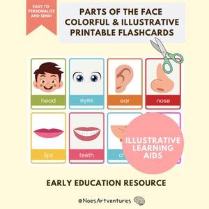 Druckbare Karteikarten Teile des Gesichtes Bunt Illustrativ Kinder Lernwerkzeuge Körperteile Bildsprache Visueller Wortschatz Sprachtherapie Kinder