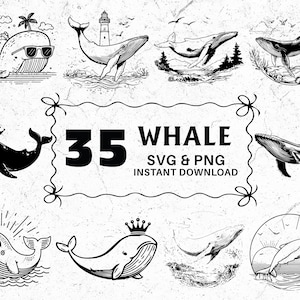 Paquete SVG PNG de ballena: imágenes prediseñadas de animales del océano, archivo de corte de Cricut (descarga digital)