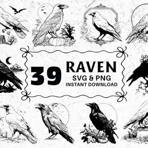 Raven SVG PNG Bundle, Crow Silhouette Clipart, Halloween Bird Cut Files, Raven Cricut, Raven Vector, Digital Design Decal, Witch Raven Png