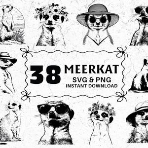 Erdmännchen SVG PNG Clipart Bundle: Wildtier Cut Files für Cricut
