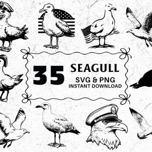 Lot Mouette SVG PNG : Clipart silhouette d&#39;oiseau côtier (conception numérique