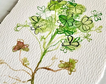 Plant Painting Original Art Clover Wood Sorel Watercolor 4x6 Home Decor
