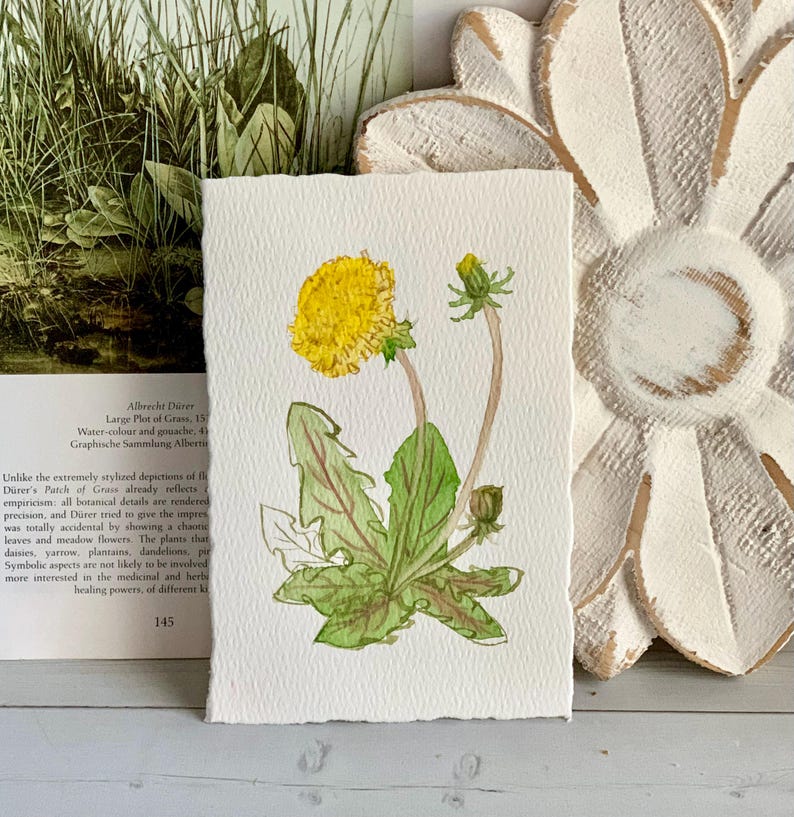 Flower Painting Original Art Dandelion I Watercolor 4x6 Home Decor - Etsy