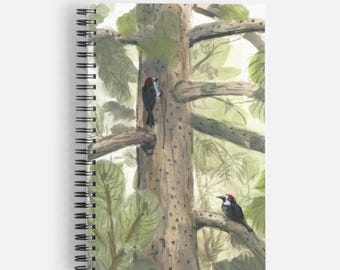 Lined Notebook Woodpeckers Back to School Journal Record Keeping