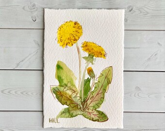 Flower Painting Original Art Dandelion III Watercolor 4x6 Home Decor