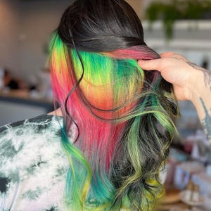 Professionally Custom Colored Human Hair Clip-In Extensions