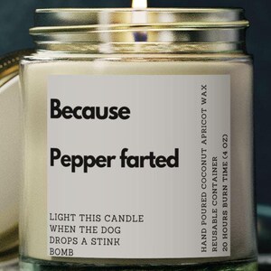 Customized funny dog fart Scented Candle, 4-9 oz Coconut Apricot Wax - Gift idea, Home Decor, Relaxation, Aromatherapy