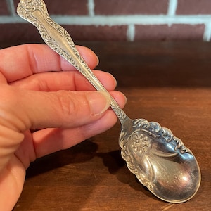 May include: A silver-toned metal spoon featuring an ornate, embossed floral and scrollwork pattern along the handle and the edges of the bowl. The design includes intricate detailing on the stem and a decorative shell-like motif at the base.