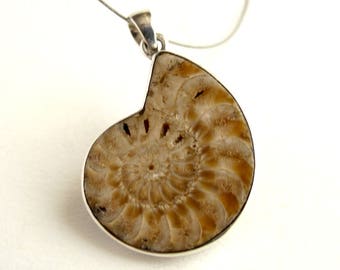 Ammonite Pendant Sterling Silver Pendant With Natural Ammonite Jewelry Ammonite Necklace Ammonite Fossil