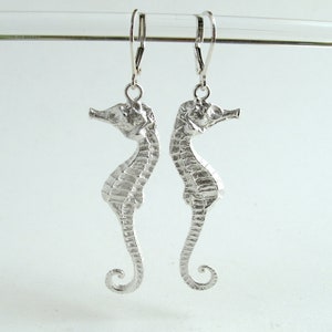 Small Seahorse Earrings Sterling Silver Seahorse Earrings Real Small Seahorse Jewelry