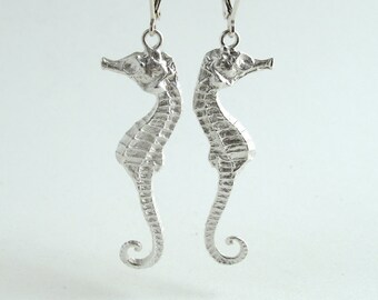 Small Seahorse Earrings Sterling Silver Seahorse Earrings Real Small Seahorse Jewelry