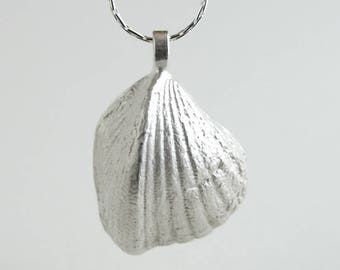 Triangle Shell Pendant Sterling Silver Triangle Shell Necklace Real Triangle Shell Jewelry