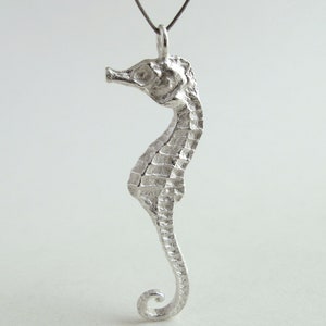 Small Seahorse Pendant Sterling Silver Seahorse Necklace Real Small Seahorse Jewelry image 4