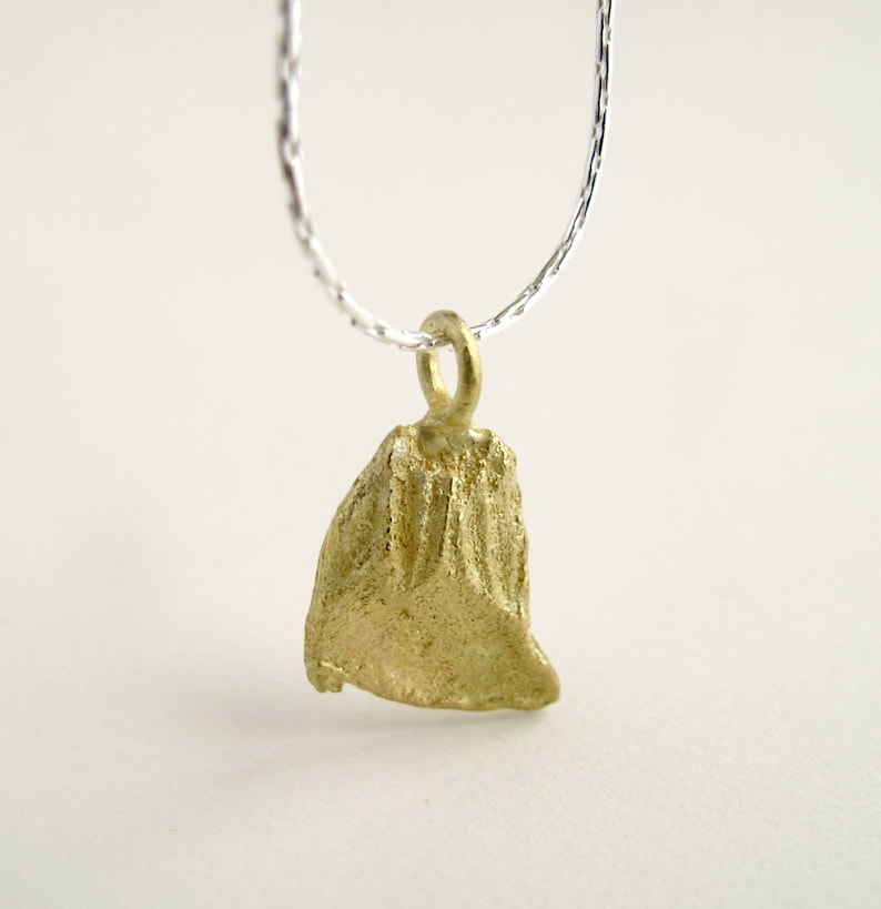 Gold Seed Pendant 18KT Gold Pomelo Seed Pendant Cast From Natural Seed Gold Seed Jewelry Citrus Fruit Necklace image 1