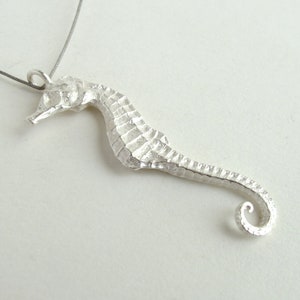 Small Seahorse Pendant Sterling Silver Seahorse Necklace Real Small Seahorse Jewelry image 5