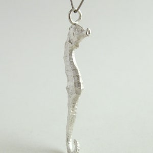 Small Seahorse Pendant Sterling Silver Seahorse Necklace Real Small Seahorse Jewelry image 7