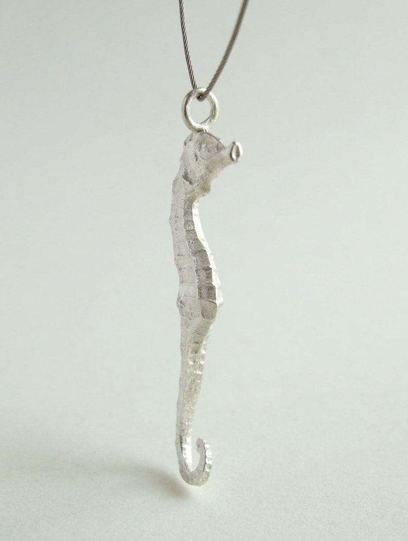 Small Seahorse Pendant Sterling Silver Seahorse Necklace Real Small Seahorse Jewelry image 7