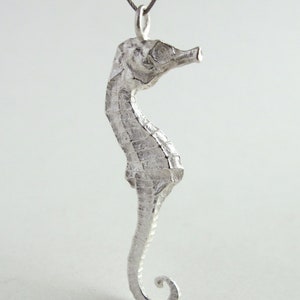 Small Seahorse Pendant Sterling Silver Seahorse Necklace Real Small Seahorse Jewelry image 1