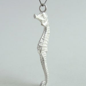 Small Seahorse Pendant Sterling Silver Seahorse Necklace Real Small Seahorse Jewelry image 6