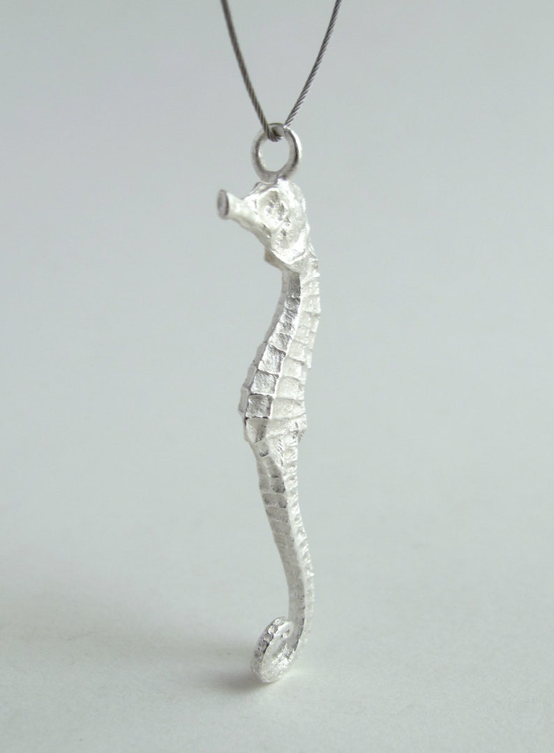 Small Seahorse Pendant Sterling Silver Seahorse Necklace Real Small Seahorse Jewelry image 6