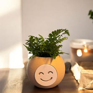 Könnte beinhalten: Ein kleiner, runder, hellbrauner Pflanztopf mit einem lächelnden Gesicht. Der Topf ist mit leuchtend grünem Laub gefüllt. Das Smiley-Gesicht hat eine hellere hellbraune Farbe. Der Topf steht auf einer dunklen Holzoberfläche.
