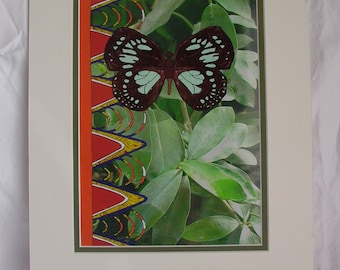Butterfly Illustration Print with Mat - Euxanthe Wakefieldi - African Textiles - Pattern