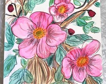 Pink Flowers in Autumn - Nature Drawing - Seasonal Transitions - Sketchbook art - Watercolor Colored Pencil and Ink - Original Art