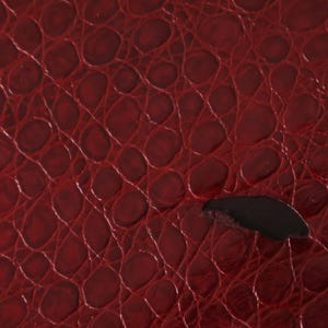 May include: Close-up of a red textured leather surface with a small black shape in the center.