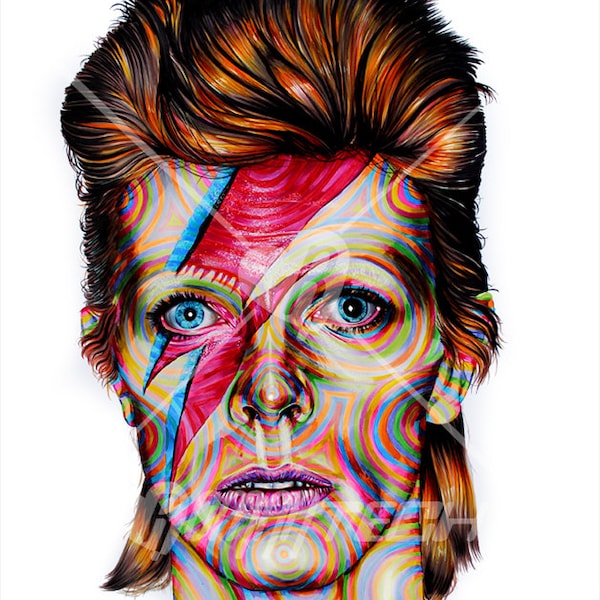 14" X 11" David Bowie as Ziggy Stardust  Portrait  - Print