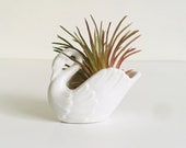 Vintage miniature white ceramic swan salt cellars Air plant containers, Small planters, Trinket Holders OMC made in Japan