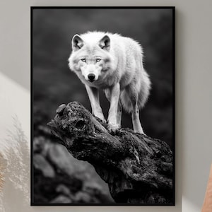 Wolf Wall Art, Wolf Photography, Digital Download, Animal Wall Art, Wolf Printable Art, Majestic Wolf Poster, Mystical Wolf Decor