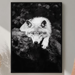 Wolf Wall Art, Wolf Photography, Digital Download, Animal Wall Art, Wolf Printable Art, Majestic Wolf Poster, Mystical Wolf Decor