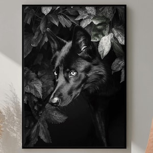 Wolf Wall Art, Wolf Photography, Digital Download, Animal Wall Art, Wolf Printable Art, Majestic Wolf Poster, Mystical Wolf Decor