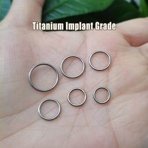 20G/18G/16G/14G Titanium Implant Grade Hinged Segment Nose Ring, Septum Clicker Ring, Nose Hoop, Septum Ring, Seamless Clicker (6-12mm)