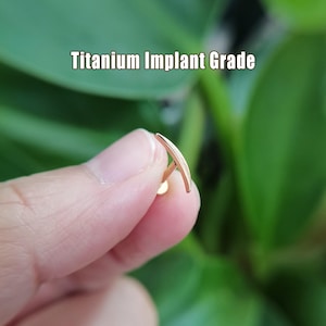 Titanium Climber Threadless Push Pin Stud, Flat Back Earrings, Cartilage Climber Stud, Conch stud, Tragus Stud, Helix Stud, 16G/18G/20G