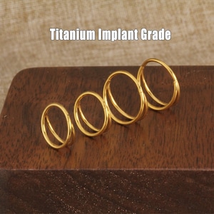 ASTM F-136 Titanium Double Hinge Clicker Hoop: Septum, Nose, Ear Piercing 16g/18g/20g