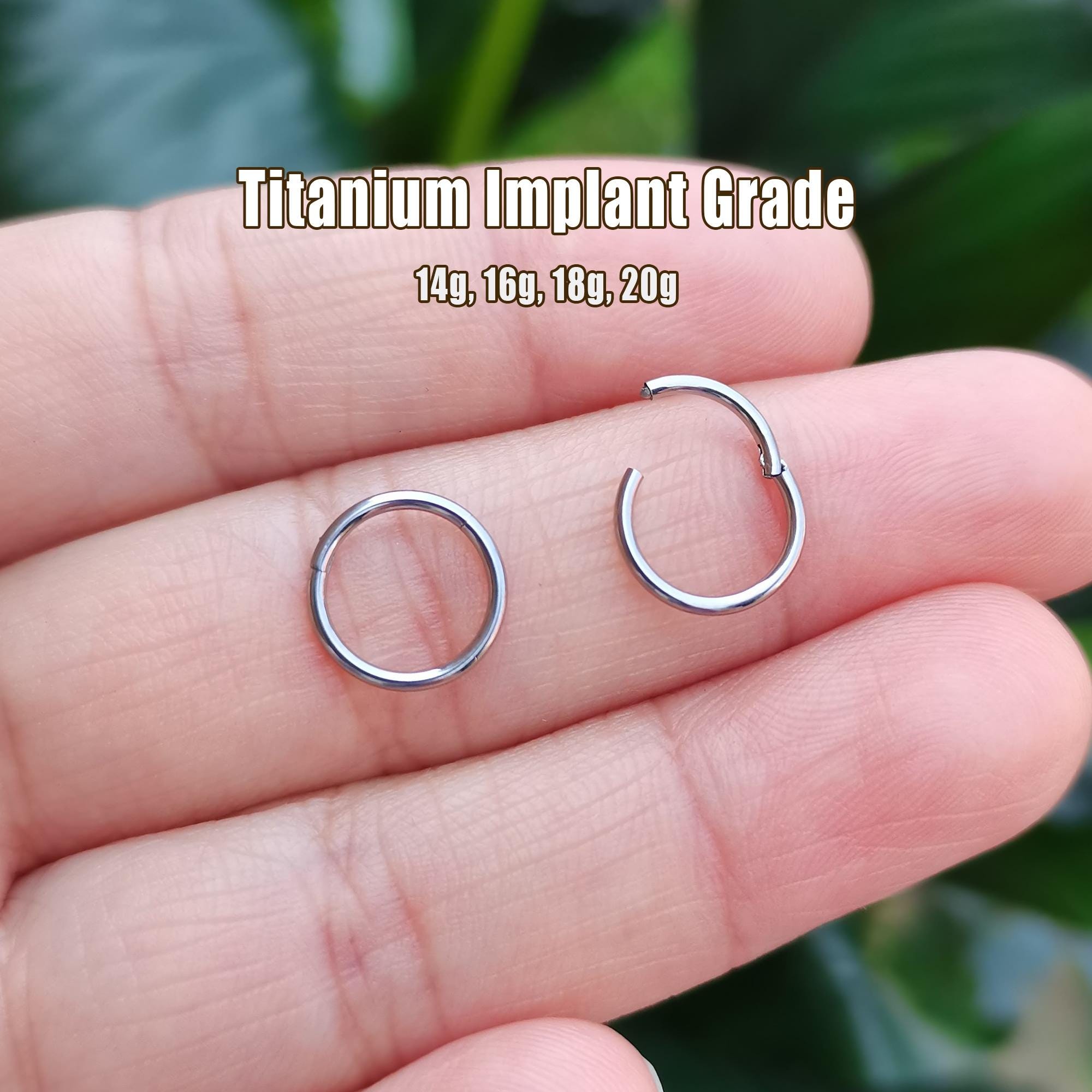 Solid Titanium Hinged Segment Nose Ring Septum Clicker Hoop, Cartilage Hoop, Helix Hoop, Clicker Ring Daith Hoop Earrings 20G 18G 16G 14G