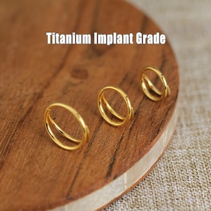 Gold Color Titanium Double Hinge Hoop, Hinged Segment Ring, Clicker Hoop, Cartilage Hoop, Helix Hoop, Tragus Hoop Earrings, Conch Hoop