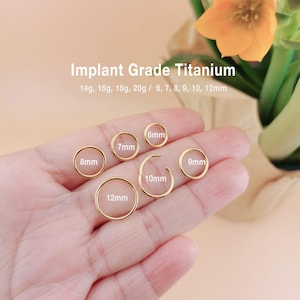 20G/18G/16G/14G Titanium Implant Grade Hinged Segment Nose Ring, Septum Clicker Ring, Nose Hoop, Septum Ring, Seamless Clicker (6-12mm)