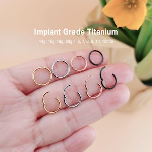 Titanium Hinge Hoop Segment Rings, Clicker Hoop, Nose Ring, Cartilage Hoop, Helix Hoop, Tragus Hoop, Conch Piercings, Hoop Earrings