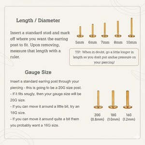 以下が含まれることがあります： ピアススタッドの長さとゲージサイズを示す図。画像には、5mmから10mmまでのさまざまな長さのピアススタッドと、20G、18G、16Gなどのゲージサイズのイラストが含まれており、対応するミリメートル単位の測定値が示されています。