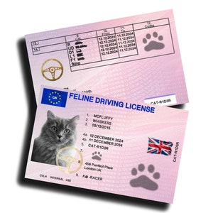 Personalised Feline Drivers Licence Cat ID for Every Cat Lover&#39;s Collection - A Must-Have Novelty Gift Customised Feline Friend Cat License