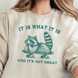It Is What It Is And It Is Not Great Sweatshirt, Raccoon Sweatshirt, Mental Health Sweatshirt, Funny Sweatshirt for Her, Meme Sweatshirt